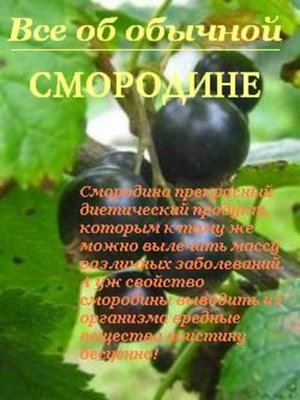 cover image of Все об обычной смородине